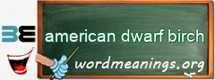 WordMeaning blackboard for american dwarf birch